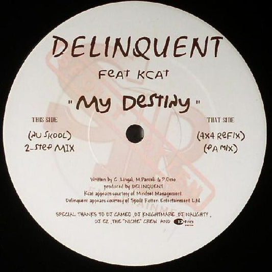 Image of Front Cover of 12" - /G+ - DELINQUENT, My Destiny (Spoilt Rotten Entertainment; SR009, UK 2006, Plain Sleeve), Scuffs and hairlines, plays well. Some light marks on label., A My Destiny (Nu Skool 2 Step Mix)B1 My Destiny (4x4 Refix)B2 My Destiny (PA Mix)Labels match SR008 from discogs, however matrix reads SR009.  - 2816004C