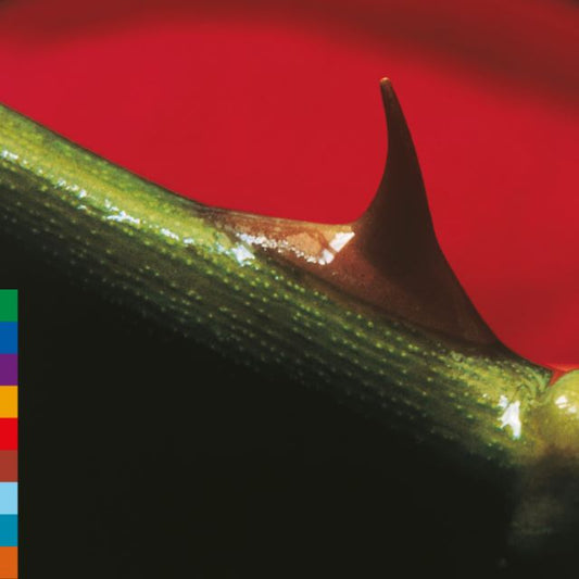 Image of Front Cover of LP - NEW/NEW - NUSRAT FATEH ALI KHAN & MICHAEL BROOK, Night Song - 30th Anniversary Edition (Real World Records; LPRW50X, Europe Reissue, Rose Leaf Green Vinyl), , Celebrating the 30th anniversary of its original release, Night Song returns in a special edition on rose leaf green coloured vinyl. A Grammy nominee, the album captures the extraordinary meeting of the legendary Nusrat Fateh Ali Khan and Canadian guitarist, producer and composer, Micheal Brook, whose atmospheric soundscap