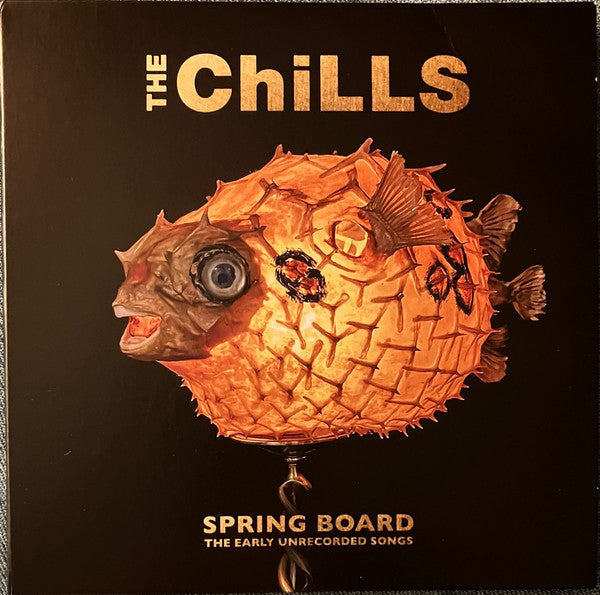 Image of Front Cover of CD - VG+/VG+ - THE CHILLS, Spring Board (The Early Unrecorded Songs) (Fire Records; FIRECD767, Worldwide 2025, Gatefold, Booklet), ,  - 2836012E