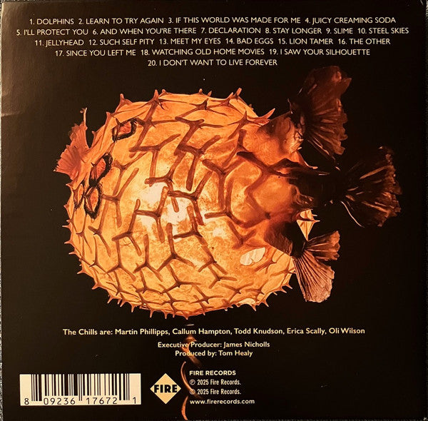 Image of Back Cover of CD - VG+/VG+ - THE CHILLS, Spring Board (The Early Unrecorded Songs) (Fire Records; FIRECD767, Worldwide 2025, Gatefold, Booklet), ,  - 2836012E