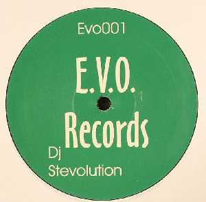 Image of Front Cover of 12" - /G+ - STEVOLUTION, Love Commandments / What Do You Want? (E.V.O. Records; EVO001, UK 2005), Light marks and scuffs, plays well., A		Love CommandmentsB		What Do You Want? - 2816373C