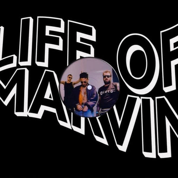 Image of Front Cover of 12" - VG+/VG+ - LIFE OF MARVIN, In The Night (Life Of Marvin ; FLOM01, Netherlands 2019, Company Sleeve), ,  - 2946041S