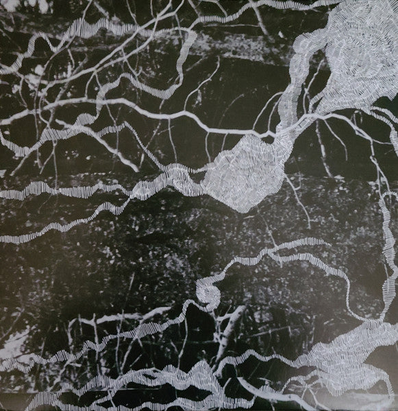 Image of Front Cover of LP - EX/EX - VISITOR, Visitor (Social Music Records; SMRC007, US 2011), ,  - 2946146S