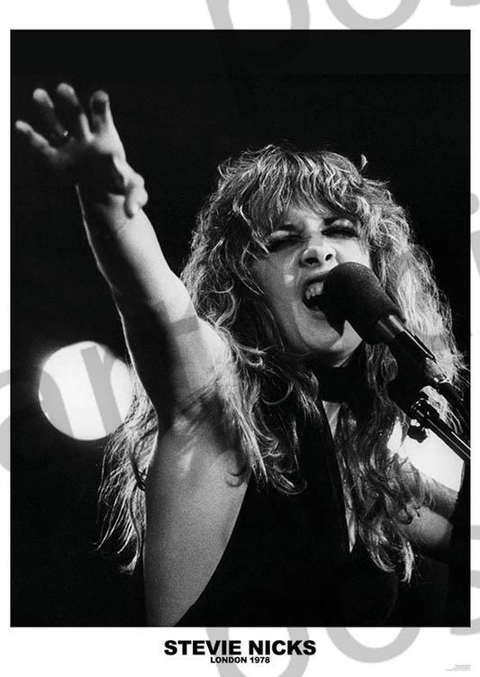 Image of Front Cover of Accessories - NEW/NEW - STEVIE NICKS, Poster (84.1cm x 59.4cm; ART321, UK ), ,  - 2916175C