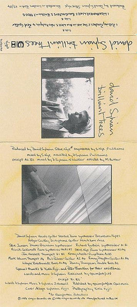 Image of Back Cover of Cassette - VG+/VG+ - DAVID SYLVIAN, Brilliant Trees (Virgin; TCV 2290, UK 1984, J-Card, Grey Shell With Black Text), ,  - 2916166C