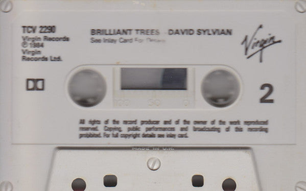 Image of Label Cover of Cassette - VG+/VG+ - DAVID SYLVIAN, Brilliant Trees (Virgin; TCV 2290, UK 1984, J-Card, Grey Shell With Black Text), ,  - 2916166C