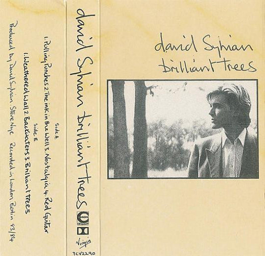 Image of Front Cover of Cassette - VG+/VG+ - DAVID SYLVIAN, Brilliant Trees (Virgin; TCV 2290, UK 1984, J-Card, Grey Shell With Black Text), ,  - 2916166C