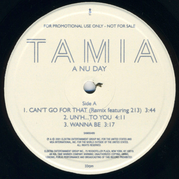 Image of Back Cover of 12" - VG/VG - TAMIA, A Nu Day (Elektra; SAM00489, UK 2000, Promo, Sampler), , Sampler for A Nu Day, the second studio album by Tamia. A less ballad-driven collection of songs and more progressive approach than her debut effort, Tamia worked with a smaller number of songwriters and producers on the album, including Dallas Austin, Shep Crawford, Missy Elliott, Bink!, Errol "Poppi" McCalla, and Jazz Nixon. - 2926327E