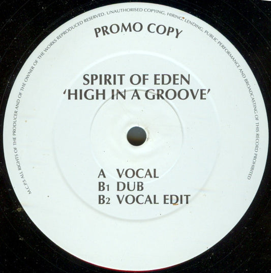 Image of Front Cover of 12" - /G+ - SPIRIT OF EDEN, High In A Groove (Kingsize; KS 002T, UK 1995, Plain Sleeve), Plays well, but with some surface noise in places.,  - 3026036E