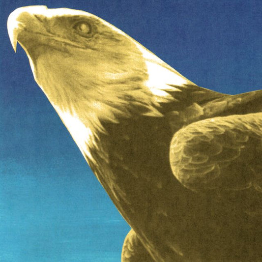 Image of Front Cover of LP - NEW/NEW - PROTOMARTYR, Hotel Usona (Domino; WIGLP571X, UK 2026, 24 Page Zine, Poster, Indie Exclusive, Gold Vinyl), , Recorded with legendary producer Dave Fridmann (Nick Cave, MGMT, The Flaming Lips) at his own Tarbox Road Studios in western New York, Hotel Usona—Protomartyr's seventh full-length studio album—is an effort that finds the Detroit post-punk outfit reckoning with the horrors of our current moment. It is not easy listening. It’s essential. Over the last two decades,