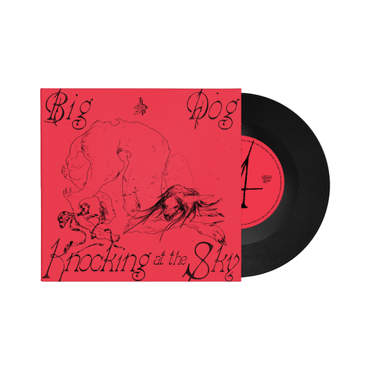 Image of Front Cover of 7" - NEW/NEW - THE LAST DINNER PARTY, Big Dog / Knocking at the Sky (Island; 6127701, Worldwide 2026, Black Vinyl), , The Last Dinner Party present a  7” vinyl of their newly released tracks Big Dog and Knocking at the Sky - 9408219C