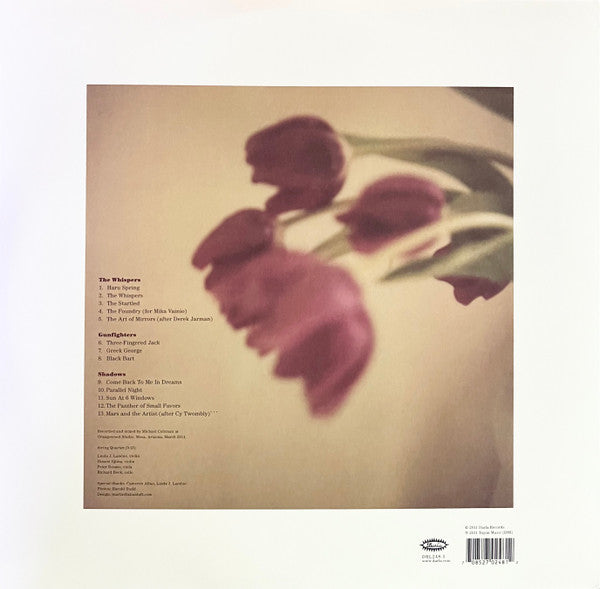 Image of Back Cover of 2xLP - VG+/VG+ - HAROLD BUDD, In The Mist (Darla Records; DRL248-1, US 2012, Picture Sleeve), ,  - 3026162E