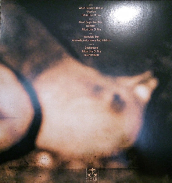 Image of Back Cover of LP - VG+/VG+ - COBALT, Eater Of Birds (Profound Lore Records; PFL027LP, Canada 2017, Gatefold, Black Inners, Green / Yellow Mix With Silver Splatter), Nice clean copy.,  - 3046102S