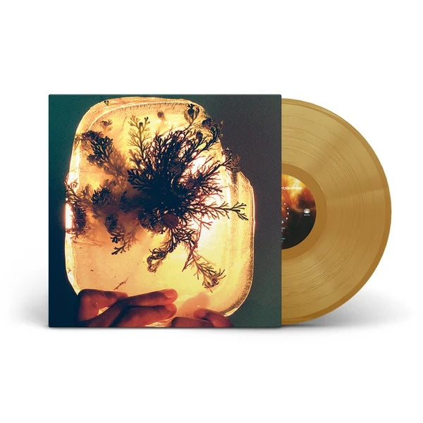 Image of Back Cover of LP - NEW/NEW - L'RAIN, fata morgana (Mexican Summer; MEX392-0, UK 2026, Rose of Jericho Glow (gold) Vinyl), , L Rain s kaleidoscopic fourth album fata morgana is a fearless reckoning with self-doubt and the mirages of belonging and alienation that shape Taja Cheek s lived experience of the contemporary moment. A shimmering vision of light and sound, seductive, ephemeral, impossible to contain, fata morgana is a genre-defiant synthesis of dancehall, tape meditations, slow jams, gospel,