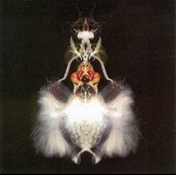 Image of Front Cover of 2xLP - VG/VG+ - BOLA, Fyuti (Skam; SKALP007, UK 2001, Limited Edition, Picture Disc), Edge and Ring Wear,  - 3146180S