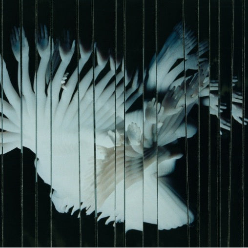 Image of Front Cover of LP - NEW/NEW - SCALER, Endlessly (Black Acre; ACRELP18, Europe 2026, 140g Black Vinyl, Housed in White Disco Bag), , Dubbed "Bristol's next national breakthrough" by The Guardian, SCALER return with a repress of their acclaimed sophomore album Endlessly via Bristol's revered Black Acre. Following its nomination for Best Independent Album at the AIM Independent Music Awards, Endlessly cements the four-piece's reputation as one of the UK's most exciting boundary-pushing acts. Blending 