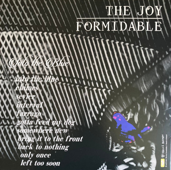 Image of Back Cover of LP - VG/VG+ - THE JOY FORMIDABLE, Into The Blue (Enci Records; ENCI10LP1, USA & Europe 2021, Inner, White Vinyl, Ltd to 1500, with 7"), seam splits on inner,  - 3146197S