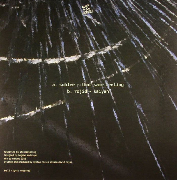Image of Back Cover of 12" - G+/VG - VARIOUS, WSS002.2 Part 2 (Why So Series; WSS002.2, 	Romania 2016, Picture Sleeve), ,  - 3126315E