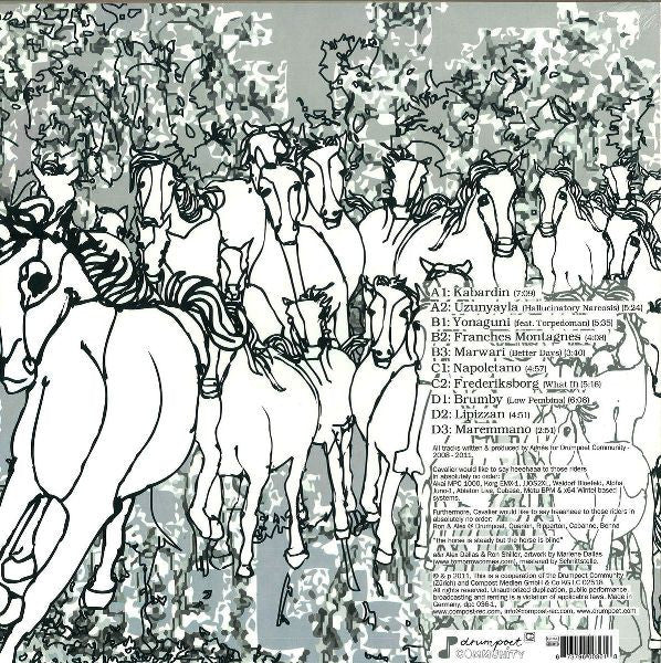 Image of Back Cover of 2xLP - VG+/EX - AGN S PRESENTS CAVALIER, A Million Horses (Drumpoet Community; dpc_036-1, Germany 2011, Picture Sleeve, With CD), Unplayed, opened instore. Sleeve has minor corner wear from storage. CD included.,  - 3126326E