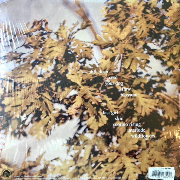 Image of Back Cover of LP - VG+/VG+ - SOCCER MOMMY, Clean (Fat Possum Records; FP1652-1, US 2018, Insert, Clear vinyl), ,  - 3126359E