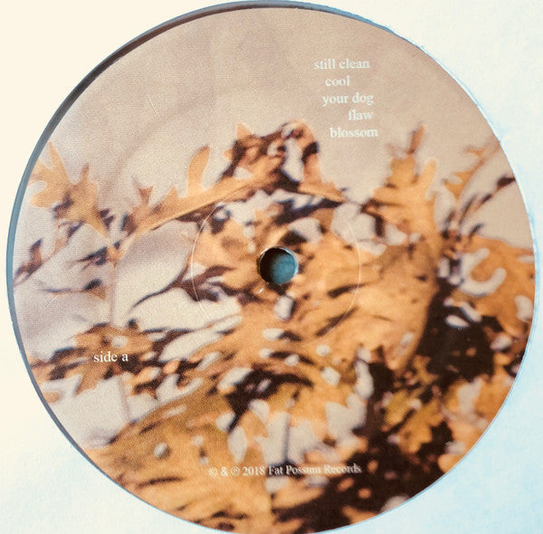 Image of Label Cover of LP - VG+/VG+ - SOCCER MOMMY, Clean (Fat Possum Records; FP1652-1, US 2018, Insert, Clear vinyl), ,  - 3126359E