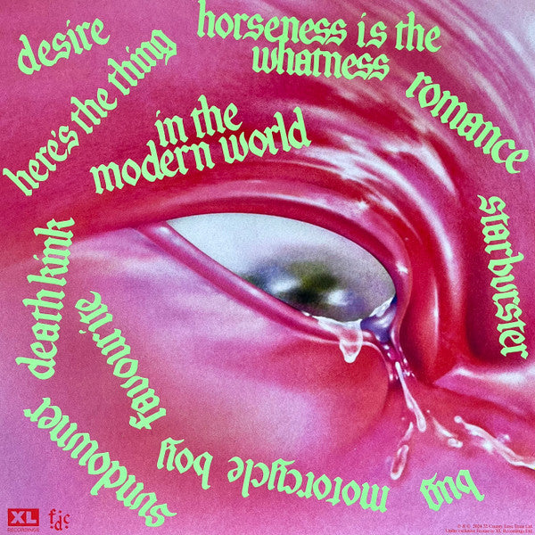 Image of Back Cover of LP - VG+/VG+ - FONTAINES D.C., Romance (XL Recordings; XL1535LPX, Worldwide 2025 Reissue, Inner & Insert, Limited Edition Blue Vinyl + 7" single), Sleeve still in hype stickered shrinkwrap,  - 3216253C
