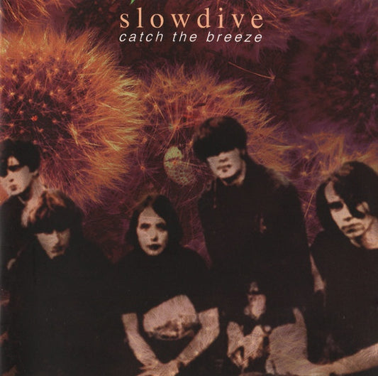 Image of Front Cover of 2xCD - VG+/VG+ - SLOWDIVE, Catch The Breeze (Sanctuary Midline; SMEDD124, UK 2004, Jewel Case, Booklet), ,  - 3236007E