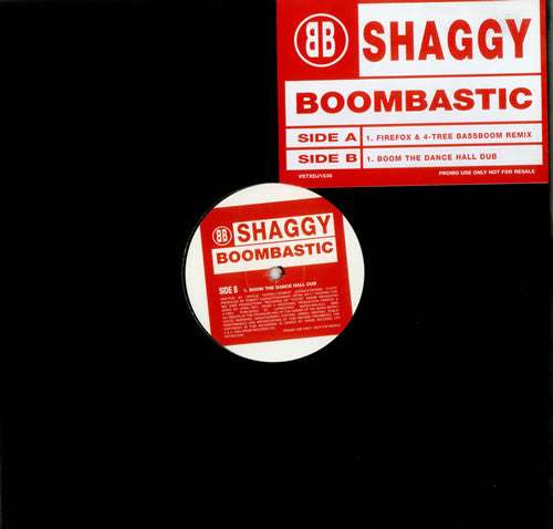 Image of Front Cover of 12" - /VG - SHAGGY, Boombastic (Jungle Mixes) (Virgin; VSTXDJ 1536, UK 1995, Plain Sleeve), Light marks only, A	Firefox & 4-Tree Bassboom RemixB	Boom The Dance Hall Dub - 3326010E