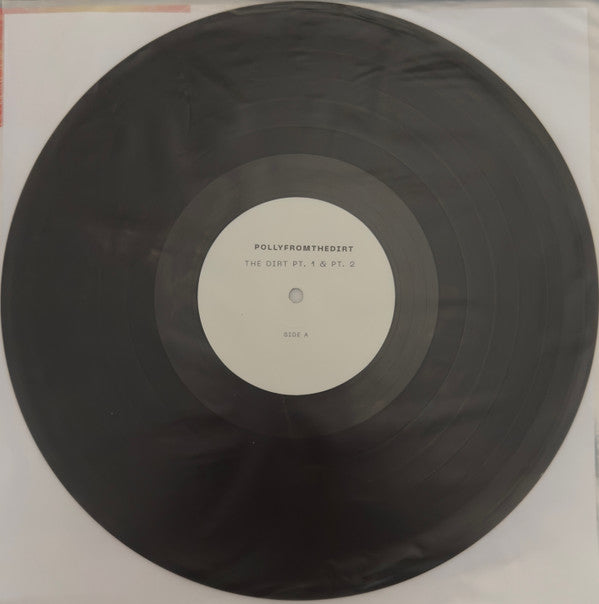 Image of Label Cover of 12" EP - VG/EX - POLLYFROMTHEDIRT, The dirt pt.1 & pt.2 (Dinked Early Doors ; NERD10, UK 2026, Picture Sleeve, No Insert, Transparent Black Vinyl), Sleeve Creased,  - 3326331E