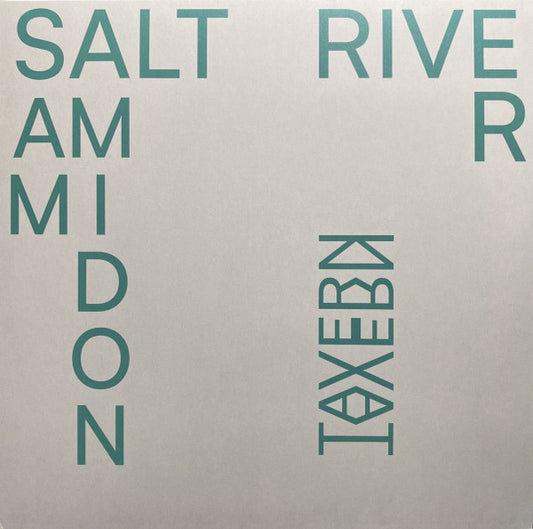Image of Front Cover of LP - EX/EX - SAM AMIDON, Salt River (River Lea ; RLR027LP, UK 2025, Inner), Still In Opened Shrinkwrap,  - 3326323E