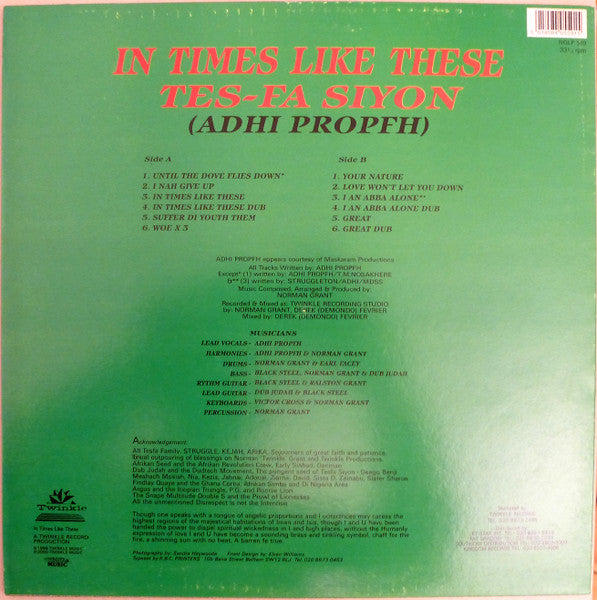 Image of Back Cover of LP - VG+/VG+ - TES FA SIYON, Time Like These (Twinkle Music; NGLP 559, UK 1999), ,  - 3426195E