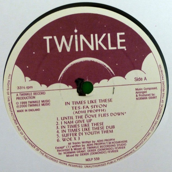 Image of Label Cover of LP - VG+/VG+ - TES FA SIYON, Time Like These (Twinkle Music; NGLP 559, UK 1999), ,  - 3426195E
