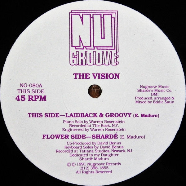 Image of Front Cover of 12" - /VG - THE VISION, Laidback & Groovy (Nu Groove Records; NG-080, US 1991), WOL. Surface noise during the run in on A-side. marks across each side of disc,  - 3446388S