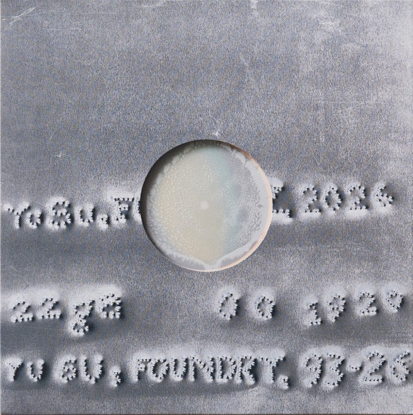 Image of Front Cover of LP - VG/VG - YU SU, Foundry (Short Span; SHORT10, UK 2026, Die Cut Picture Sleeve, Inner, Orange Vinyl), Paper inner split on one side. Strong VG disc., Comes with a printed transparent paper inner sleeve. - 3516003C
