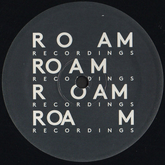 Image of Front Cover of 12" - VG+/VG - DJ ROCCA, Maccheroni / Aula (Roam Recordings; ROAM038, US 2017, Die Cut Company Sleeve), Light marks only,  - 3526019E
