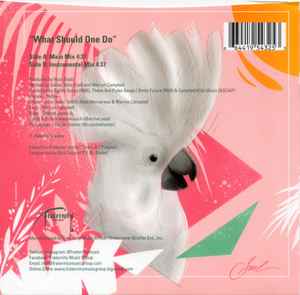 Image of Back Cover of 7" - EX/EX - SIDIBE, What Should One Do (Fraternity Music Group; F-5432, US 2019, Picture sleeve, With postcard), ,  - 3556035S