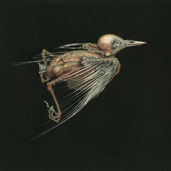 Image of Front Cover of 2xLP - VG+/VG+ - JENNY HVAL & SUSANNA, Meshes Of Voice (SusannaSonata; SONATALP014, Norway 2015, 2 Inners), Still In Opened Shrinkwrap,  - 3546105S