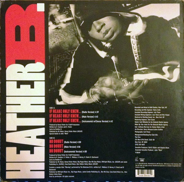 Image of Back Cover of 12" - VG/VG - HEATHER B., If Headz Only Knew... (Pendulum Records; Y-58549, US 1996, Picture Sleeve), Light marks only.,  - 3516233C