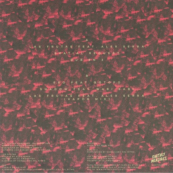 Image of Back Cover of 12" - VG/G+ - JOAQUIN CORNEJO, Las Frutas EP (Earthly Measures; EARTHLY005, UK 2021, Picture Sleeve), Lots of light marks and hairlines, plays better than it looks,,  - 3516633C