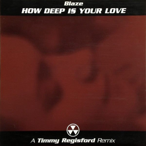 Image of Front Cover of 12" - VG/VG - BLAZE, How Deep Is Your Love (A Timmy Regisford Remix) (Shelter Records; SHL-1036, US 2002), Strong VG,  - 3546314S