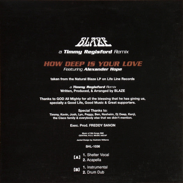 Image of Back Cover of 12" - VG/VG - BLAZE, How Deep Is Your Love (A Timmy Regisford Remix) (Shelter Records; SHL-1036, US 2002), Strong VG,  - 3546314S