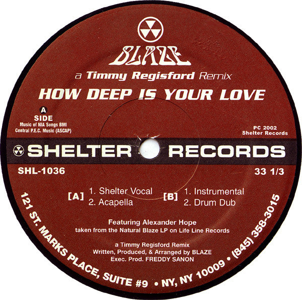 Image of Label Cover of 12" - VG/VG - BLAZE, How Deep Is Your Love (A Timmy Regisford Remix) (Shelter Records; SHL-1036, US 2002), Strong VG,  - 3546314S