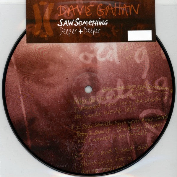 Image of Front Cover of 7" - VG+/M - DAVE GAHAN, Saw Something / Deeper + Deeper (Mute; MUTE398, Europe 2008, Title Stickered PVC Sleeve, Numbered, Limited Edition Picture Disc), SEALED. No. 1180.,  - 3616080C