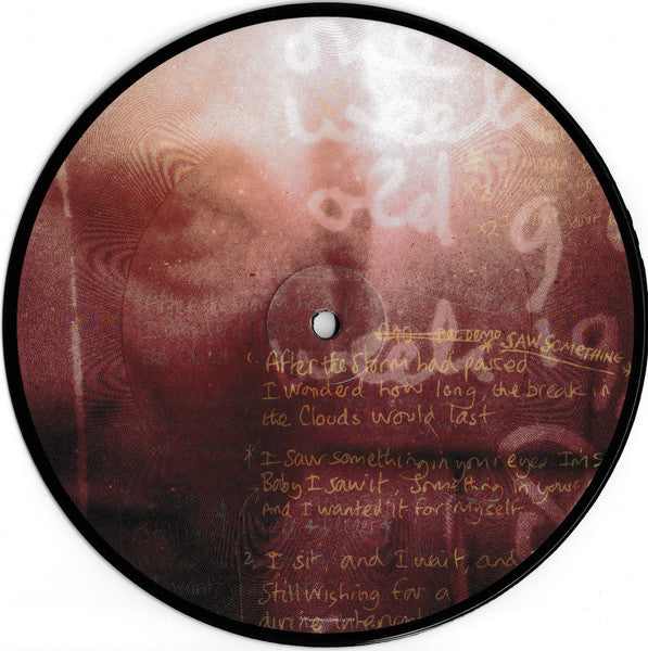 Image of Label Cover of 7" - VG+/M - DAVE GAHAN, Saw Something / Deeper + Deeper (Mute; MUTE398, Europe 2008, Title Stickered PVC Sleeve, Numbered, Limited Edition Picture Disc), SEALED. No. 1180.,  - 3616080C