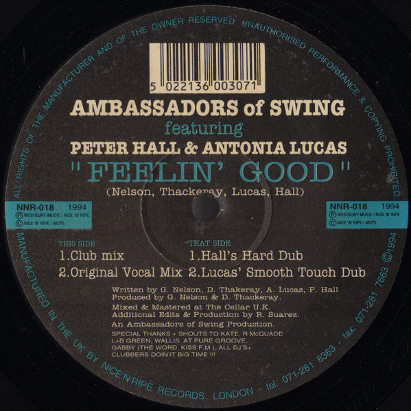 Image of Front Cover of 12" - /G+ - AMBASSADORS OF SWING FEATURING PETER HALL & ANTONIA LUCAS, Feelin' Good (Nice 'N' Ripe; NNR-018, UK 1994, Plain Sleeve), ,  - 3626139E