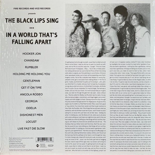 Image of Back Cover of LP - VG/VG+ - THE BLACK LIPS, Sing In A World That s Falling Apart (Fire Records; FIRELP573X, US 2020, Die Cut Sleeve, Inner, Poster & Postcard, Red Vinyl), Light cover wear,  - 3646131S