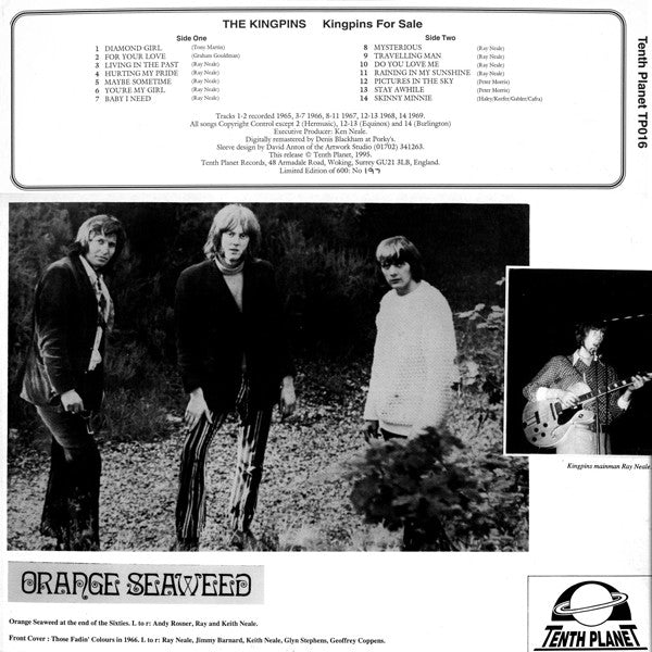 Image of Back Cover of LP - EX/VG+ - THE KINGPINS, For Sale (Tenth Planet ; TP016, UK 1995, Gatefold), ,  - 3626249E