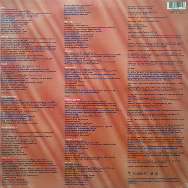 Image of Back Cover of 2xLP - G+/G+ - RAJA-NE , Hot & Ready (Perspective Records; 549 014-1, Europe 1994), Record scuffed and marked but conservatively graded. Sleeve has some wear at edges and corners (one corner damaged). Scuffs and creases too; some fogging at top right of cover,  - 3616324C