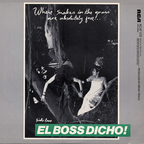 Image of Back Cover of 12" - VG+/VG+ - BOW WOW WOW, Go Wild In The Country (Extended Version) (RCA; RCAT 175, UK 1982, Picture Sleeve), ,  - 3616398C