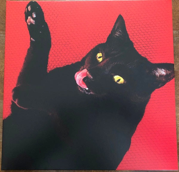 Image of Front Cover of LP - VG/VG+ - RYAN ADAMS, Big Colors (Pax Americana Record Company; Pax-Am 067, Europe 2021, Gatefold, Inner, Red Vinyl, NO 7"), Seam split on Inner,  - 3746003S
